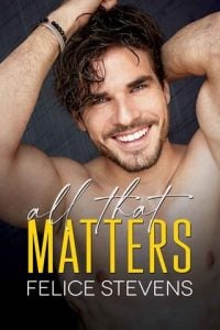 All That Matters by Felice Stevens EPUB & PDF