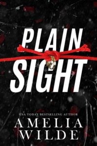 Plain Sight by Amelia Wilde EPUB & PDF