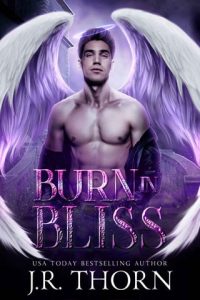 Burn in Bliss (FORTUNE ACADEMY UNDERWORLD #6) by J.R. Thorn EPUB & PDF