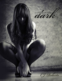 Captive in the Dark (The Dark Duet, #1) by C.J. Roberts EPUB & PDF