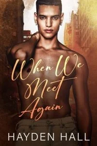 When We Meet Again by Hayden Hall EPUB & PDF