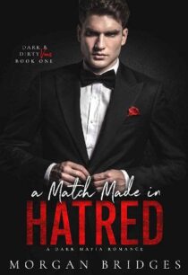 A Match Made in Hatred by Morgan Bridges EPUB & PDF