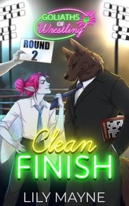 Clean Finish by Lily Mayne EPUB & PDF