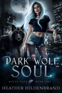 Dark Wolf Soul by Heather Hildenbrand EPUB & PDF