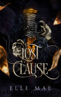 Lost Clause by Elle Mae EPUB & PDF