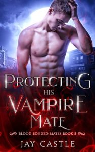 Protecting His Vampire Mate by Jay Castle EPUB & PDF