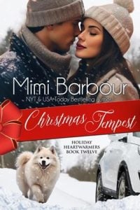 Christmas Tempest by Mimi Barbour EPUB & PDF