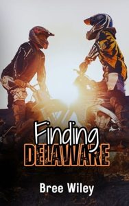 Finding Delaware by Bree Wiley EPUB & PDF