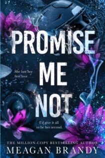 Promise Me Not by Meagan Brandy EPUB & PDF