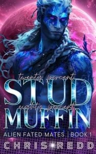 20% Stud 80% Muffin by Chris Redd EPUB & PDF