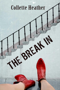 The Break In by Collette Heather