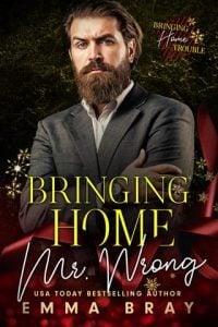 Bringing Home Mr. Wrong by Emma Bray EPUB & PDF