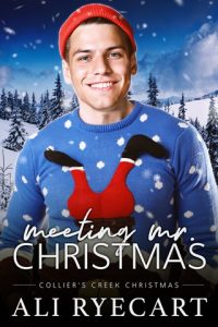 Meeting Mr. Christmas by Ali Ryecart EPUB & PDF