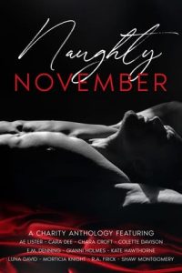 Naughty November by Cara Dee EPUB & PDF