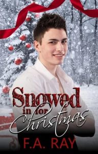 Snowed in for Christmas by F.A. Ray EPUB & PDF