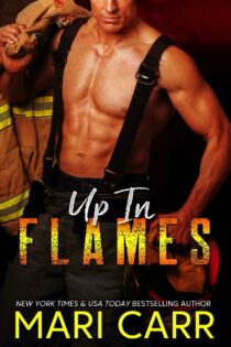 Up in Flames by Mari Carr