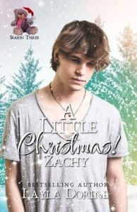 A Little Christmas 3: Zachy by Layla Dorine EPUB & PDF