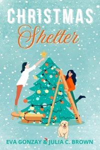 Christmas Shelter by Eva Gonzay EPUB & PDF