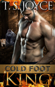 Cold Foot King by T. S. Joyce