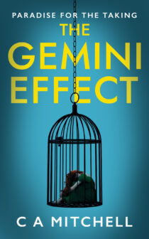 The Gemini Effect by C A Mitchell