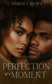 The Perfection of a Moment by Brown Kimberly