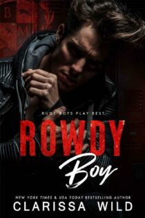 Rowdy Boy by Clarissa Wild