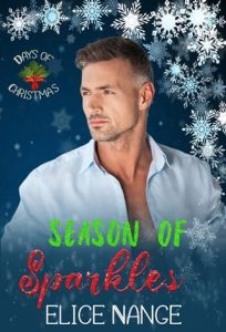 Season Of Sparkles by Elice Nange EPUB & PDF