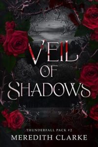 Veil of Shadows by Meredith Clarke EPUB Y& PDF