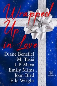 Wrapped Up In Love by Diane Benefiel EPUB & PDF