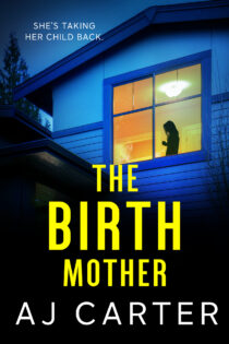 The Birth Mother by AJ Carter