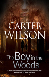 The Boy in the Woods by Carter Wilson