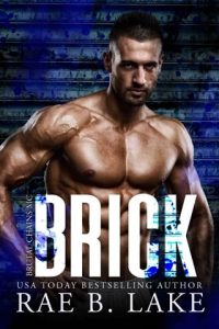 Brick by Rae B. Lake EPUB & PDF