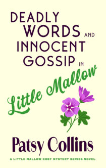 Deadly Words and Innocent Gossip in Little Mallow by Patsy Collins