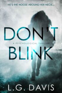 Don't Blink by L.G. Davis