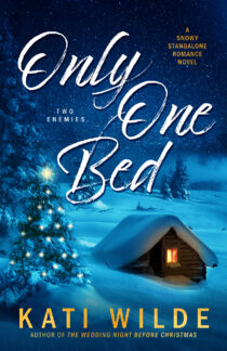 Only One Bed by Kati Wilde