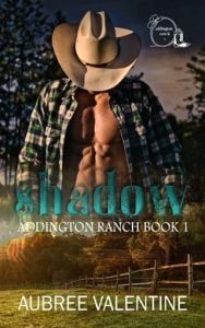 Shadow by Aubree Valentine EPUB & PDF