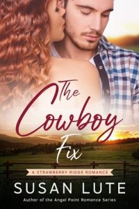 The Cowboy Fix by Susan Lute EPUB & PDF