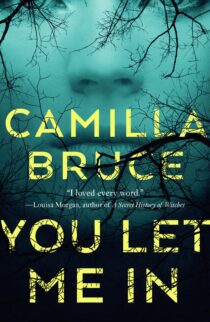 You Let Me In by Camilla Bruce