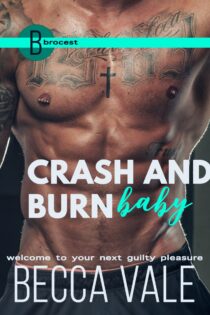 Crash and Burn Baby by Becca Vale