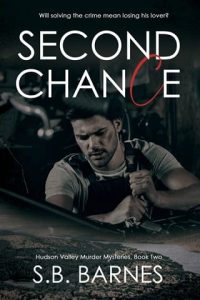Second Chance by S.B. Barnes EPUB & PDF