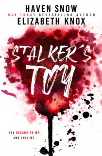 Stalker’s Toy by Haven Snow EPUB & PDF